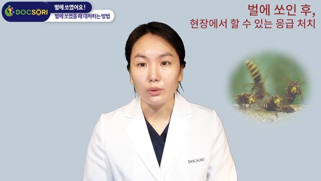 벌에 쏘였어요. смотреть онлайн