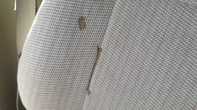 How Do You Remove Carpenters Glue From Fabric Seats? смотреть онлайн