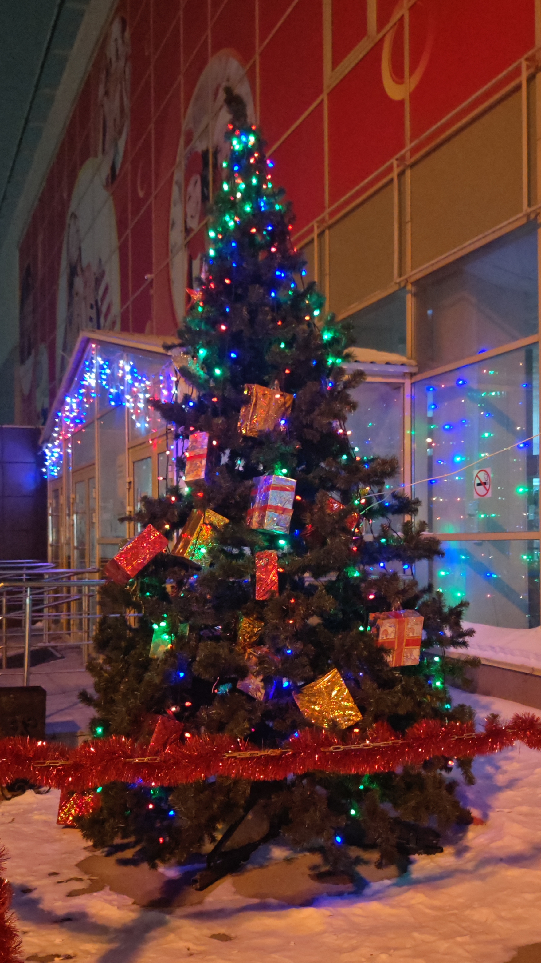 Новосибирск, Ёлочки привезли ☃️ смотреть онлайн