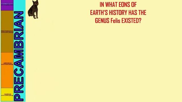 The Cat Genus Felis Evolution & Modern Species