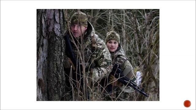 НЕРПА МДРР смотреть онлайн