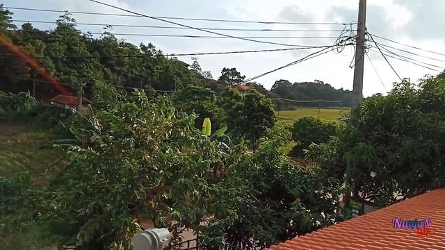 Dialog Satellite Tv Signal tuneup. find signal in dialog tv. ඩයලොග් TV සිග්නල් ගන්නේ මෙහෙමයි смотреть онлайн