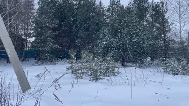 Колизей смотреть онлайн