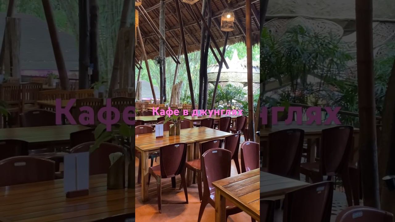 Кафе в джунглях на Пхукете #ежсереж #ежсереж #ешсережвтае #тайланд #пхукет смотреть онлайн
