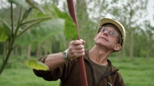 Wellington entrepreneur living the dream with ‘therapeutic’ eco-surfboard business смотреть онлайн