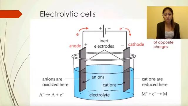 IB Chemistry Topic 9.2 PART 7: Construct Electrolytic Cells & How it is Different from Voltaic Cell смотреть онлайн