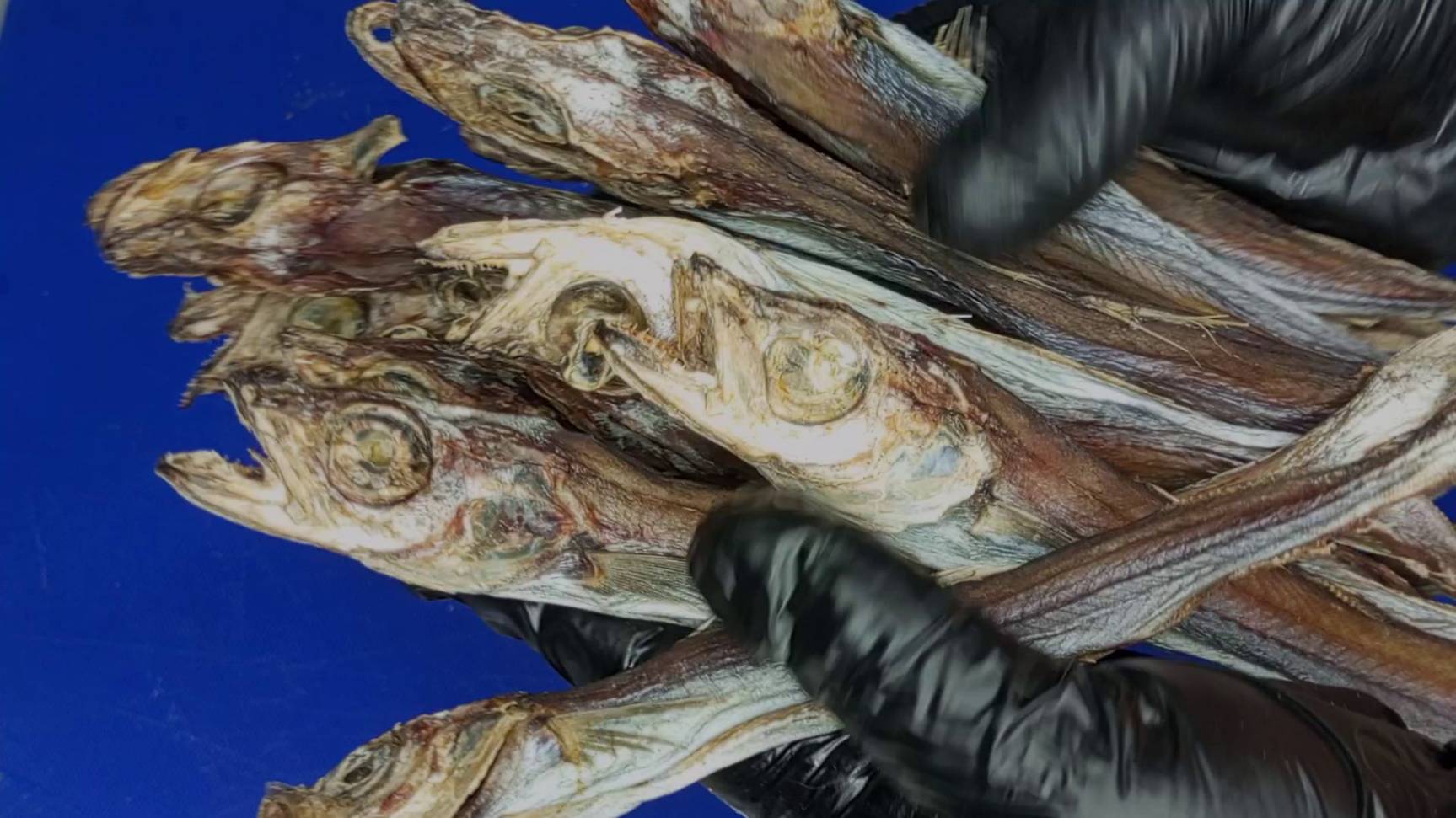 путассу вялено-сушёная #boosty смотреть онлайн