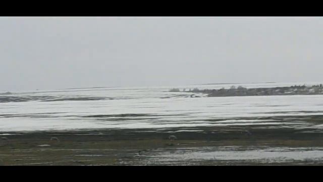 #167 открытие охоты 2021г смотреть онлайн