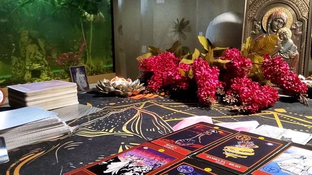 Послание от ФАМИЛЬЯРОВ🐙🦈🐞 #оракул#siraya