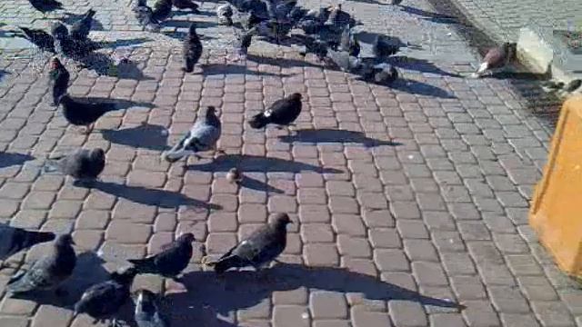 На площади ленина.mp4 смотреть онлайн
