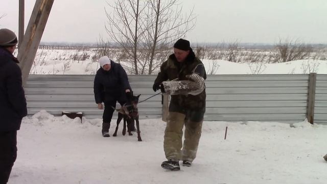 Пуск (Клеопатра) смотреть онлайн