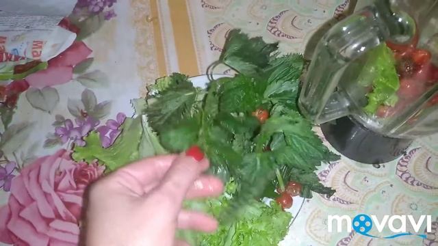 Смузи Зелень с Домашней Крапивой