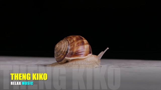 Relax Music For Enjoy The SnailsTaking Meal, Music for study смотреть онлайн