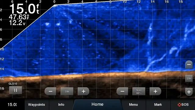 Live Scope Bottom Fill