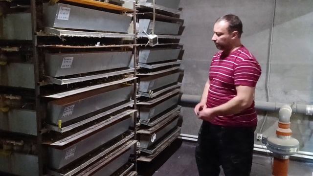 ПЯТНИЦА!  ЗА ДЕНЬ ПЕРЕД ЗАБОЕМ.  ОТБОР МАТЕРИНСКОГО СТАДА.  КОМБИКОРМ.