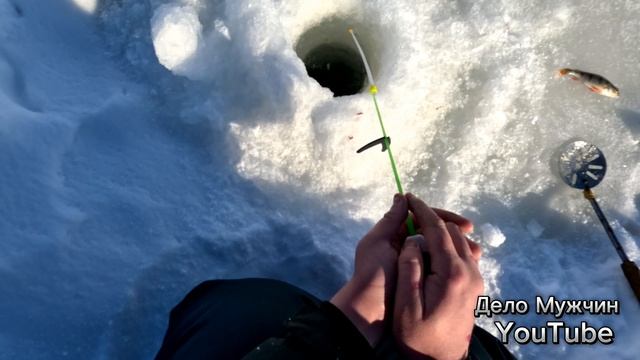 Окунь снова не даёт нам скучать!!!рыбалка на хищника весной.... смотреть онлайн