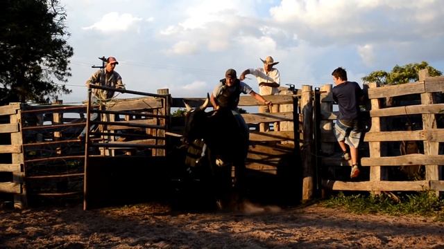 02 Treino de Rodeio- Em busca de seus Limites "Cia A.P" смотреть онлайн