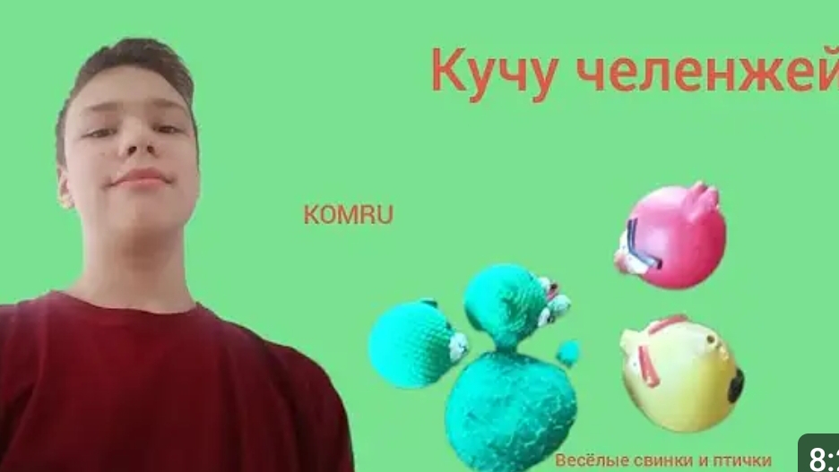 "Веселые свинки и птички": серия 2 "Кучуууууу челенжей "