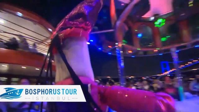 Aşuk Maşuk [Dinner Cruise Istanbul] Bosphorus Tour смотреть онлайн