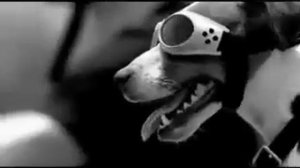 ZZ Top   Bad To The Bone