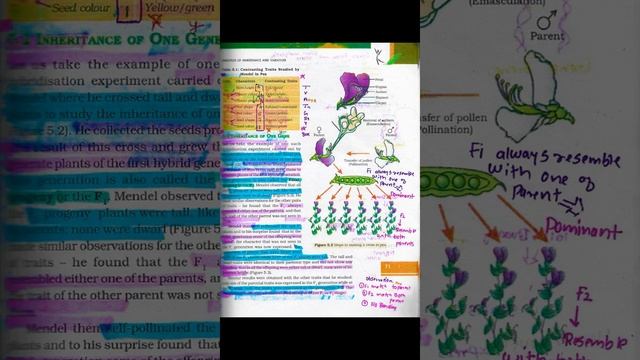 principal of inheritance and variation ncert #neet #biology #short #science смотреть онлайн