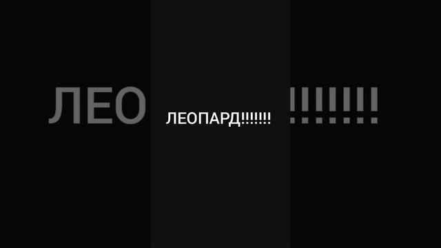 КТО ПОБЕДИЛ ТИГР ИЛИ ЛЕОПАРД смотреть онлайн