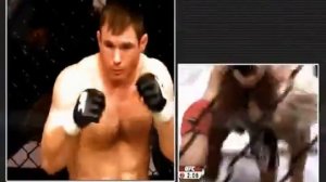 Бои без правил только лучшим!!!