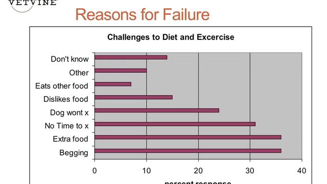 Obesity in Pets - Feeding, Exercise and Weight Control Medication смотреть онлайн