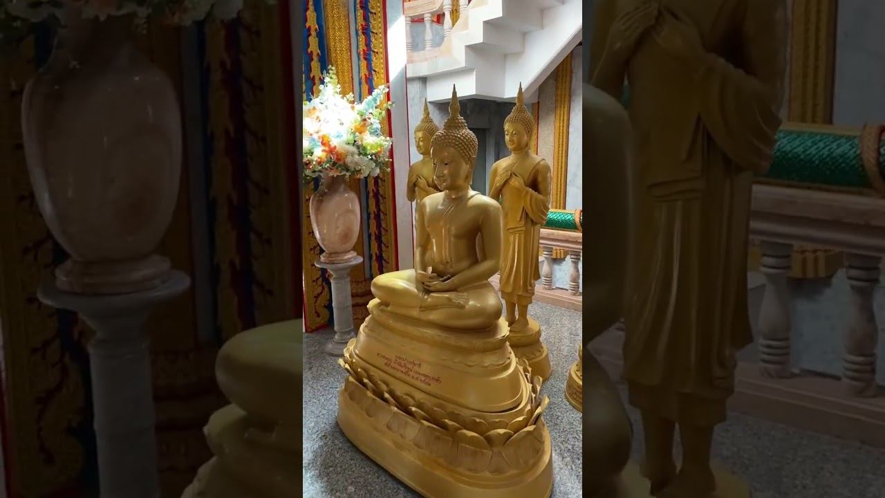 Обзорная экскурсия по Пхукету #ежсереж #ежсереж #тайланд #пхукет #ешсережвтае смотреть онлайн