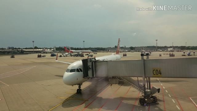 Наша дорога на Родину! смотреть онлайн