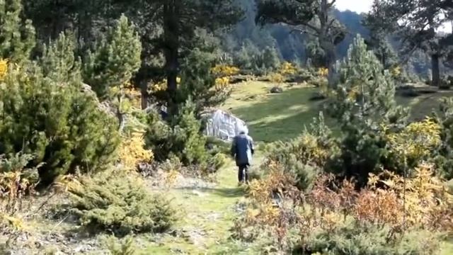 JETA NE GJALICEN E KUKSIT ABC NEWS смотреть онлайн