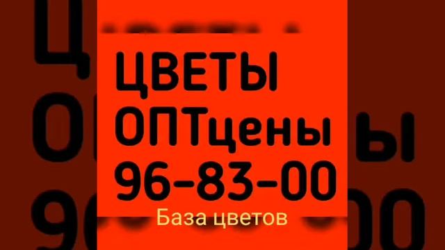 Склад цветов Тюмень, адрес Холодильная, 138, тел 96-83-00 смотреть онлайн