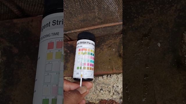 mengukur parameter air di kolam bioflok dengan kertas lakmus (PH,Alkalinitas,nitrit,hardenes) смотреть онлайн