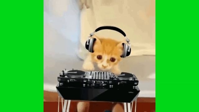 Macaroni with the Chicken Strips Remix смотреть онлайн