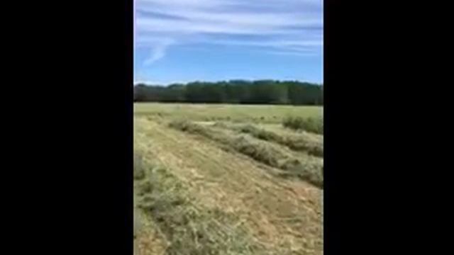 2022 small bales front field with new holland tn65 and new holland 570 baler смотреть онлайн