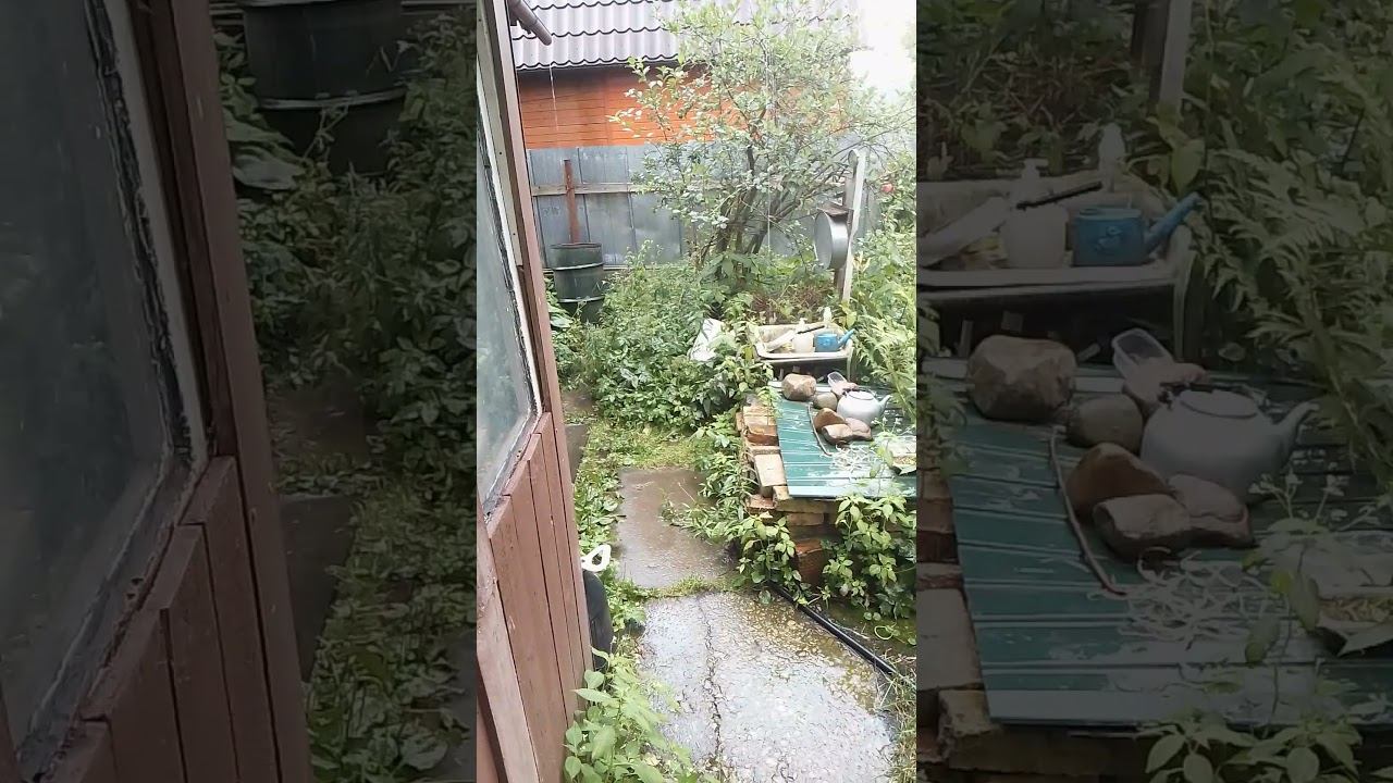 Идут дожди #дождь #дача смотреть онлайн
