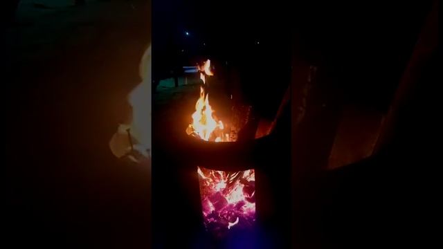 На это можно смотреть вечно. Shorts смотреть онлайн