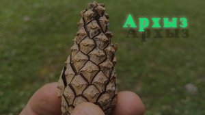 Долгожданная поездка в Архыз (Карачаево-Черкессия)