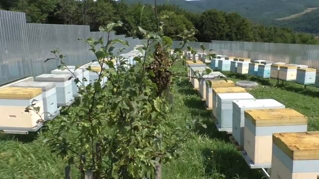 Кажется осень придёт раньше 5.08.2020 смотреть онлайн