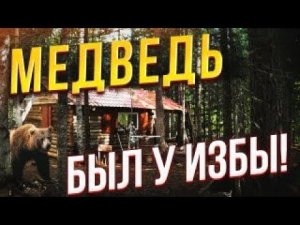 Медведь был у избы! Косолапый зашел в гости! #медведьуизбы