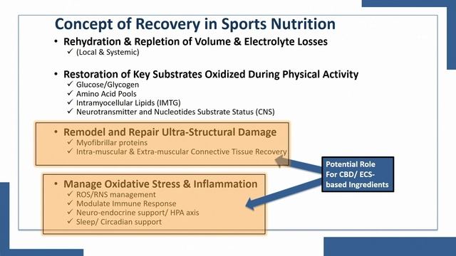 Find New Pathways in Sports Nutrition смотреть онлайн