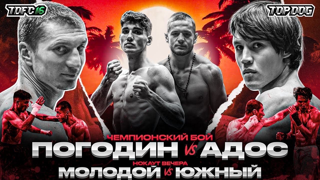 Погодин - Адос, Молодой - Южный | Нокаут вечера | Чемпионский бой | TDFC 16 смотреть онлайн