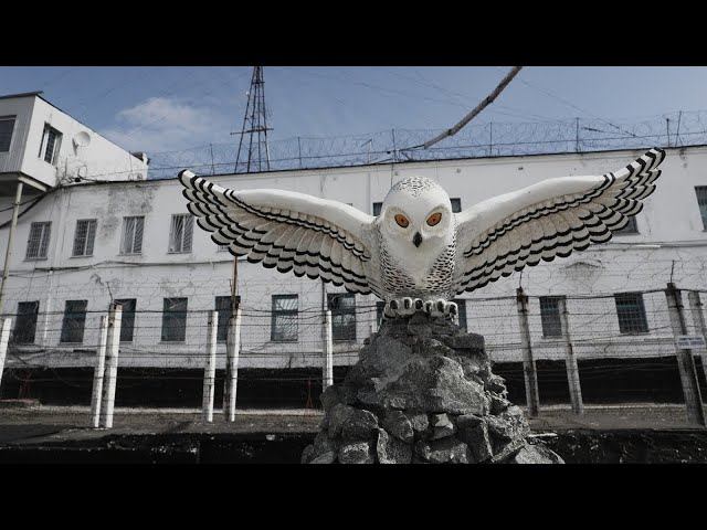 Самая жёсткая зона Полярная Сова! смотреть онлайн