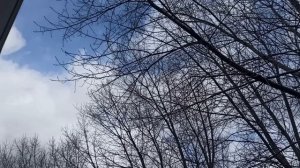 30 марта праздник Алексей Теплый. Что делать нельзя. Народные приметы и традиции.