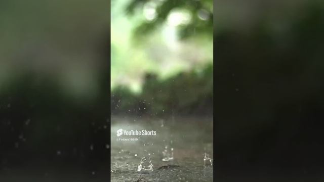 Улыбка-это Сунна смотреть онлайн