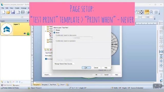 Printing 4x macarons on Eddie Edible Printer using manual Test & Print tray смотреть онлайн