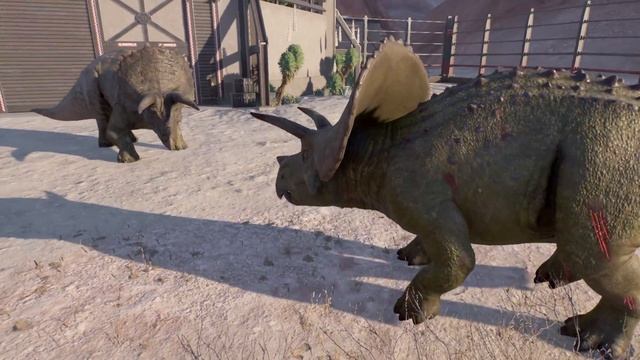 Triceratops vs Torosaurus - Who is Stronger? Jurassic World Evolution 2 | JWE2 смотреть онлайн