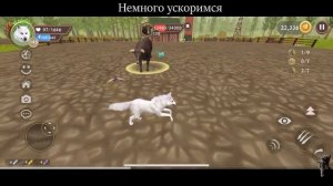ПОБЕЖДАЕМ ЧЕТЫРЕХ БОССОВ БЕЗ СТАИ В #WILDCRAFT! (симулятор волка)
