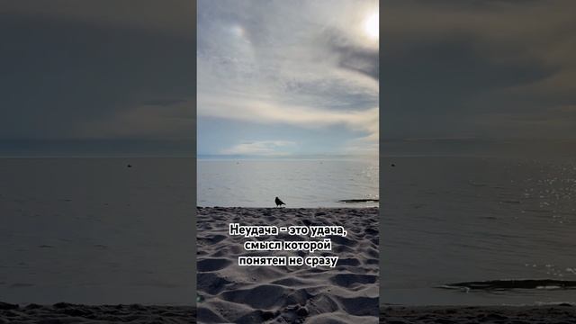 Почему важно за все благодарить ☝🏻 смотреть онлайн