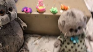 викторина от басика, тренируем память